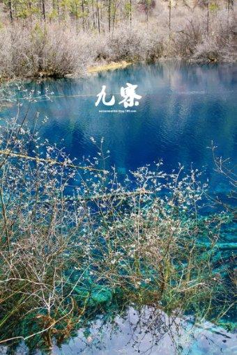 蜡笔小新大逃杀